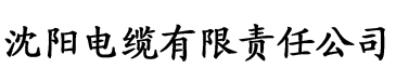 日韩国产中文字幕电缆厂logo